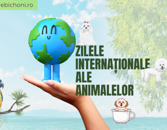 zilele internationale ale animalelor