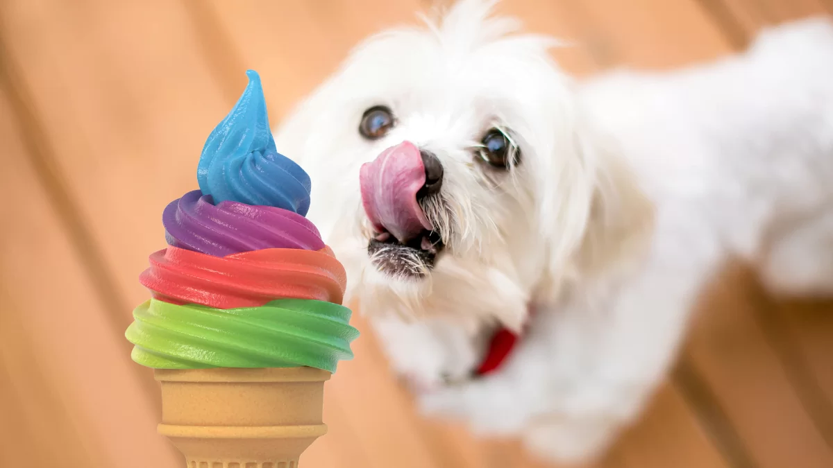 Câinii pot mânca înghețată
