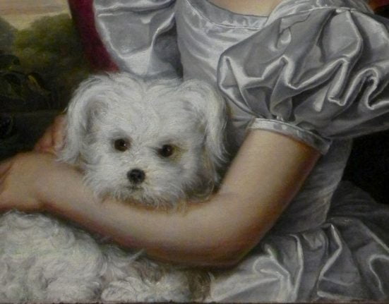 Gaston Camillo Lenthe: „Lady with Maltese” (1833), ulei pe pânză, Hanshere Gallery