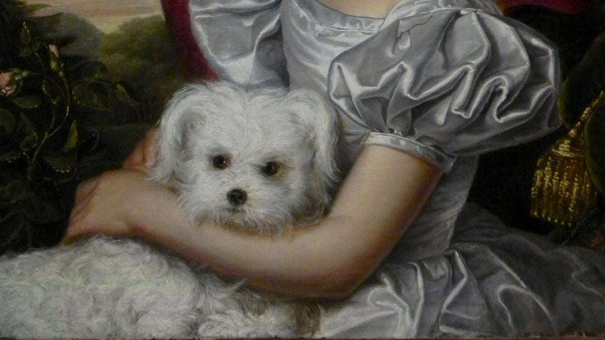 Gaston Camillo Lenthe: „Lady with Maltese” (1833), ulei pe pânză, Hanshere Gallery