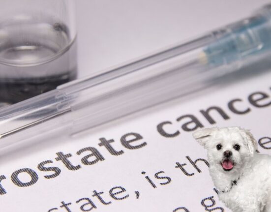 Cancerul de prostată la câini