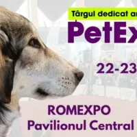 petexpo 2025