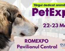 petexpo 2025